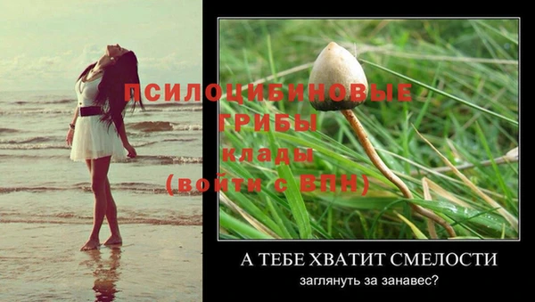 прущие крисы Алексеевка